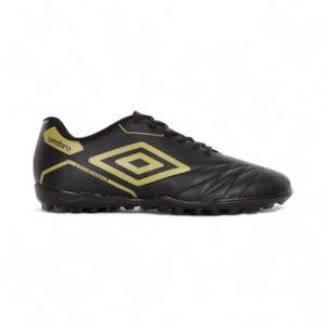 Preto/dourado